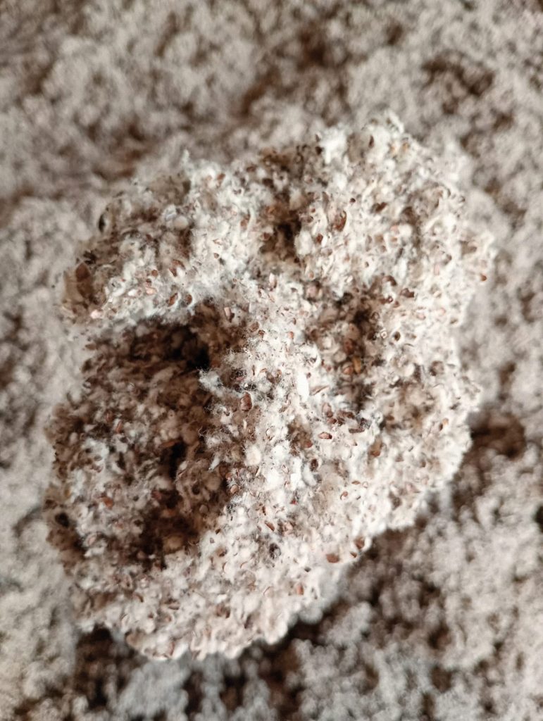 Casca de Algodão Solta