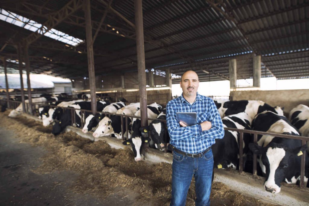 Um homem sorridente, de barba curta, vestindo uma camisa xadrez azul e calça jeans, está em pé com os braços cruzados em um estábulo. Ele segura um tablet. Atrás dele, várias vacas leiteiras da raça Holandesa (pretas e brancas) estão alinhadas em um cocho de alimentação sob uma estrutura de galpão industrial com telhado metálico.