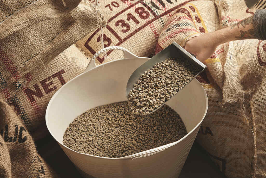 Uma pessoa utiliza uma pá de metal para transferir sementes de algodão verdes e cruas de um grande saco de juta para um balde branco. Ao fundo, outros sacos de estopa empilhados sugerem um ambiente de armazenamento agrícola ou industrial.