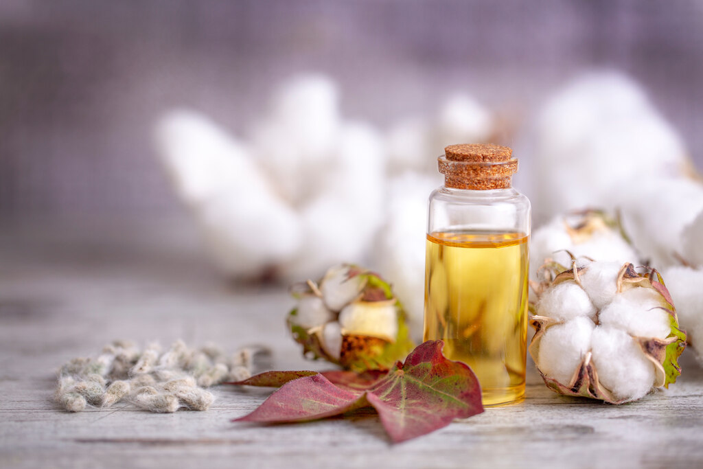 Frasco com óleo de algodão e plantas, ilustrando os benefícios do óleo de algodão na alimentação e uso industrial