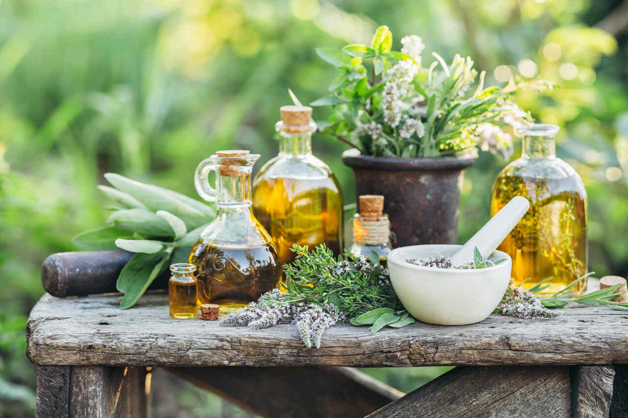 óleos vegetais extraídos de plantas com ervas naturais, produção de óleo natural