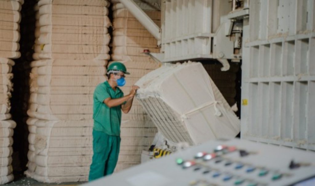 Línter de Algodão: A Fibra de Alta Pureza para Aplicações Industriais